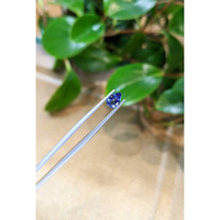 0.86 Ct. Blue Sapphire from Ceylon (Sri Lanka) Life Style
