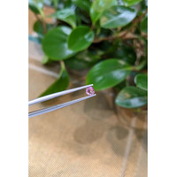 0.40 Ct. Pink Sapphire from Ceylon (Sri Lanka) Life Style