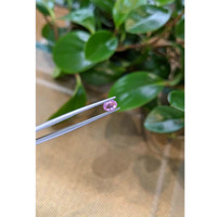 0.72 Ct. Pink Sapphire from Ceylon (Sri Lanka) Life Style