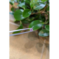 0.36 Ct. Pink Sapphire from Ceylon (Sri Lanka) Life Style