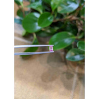 0.35 Ct. Pink Sapphire from Ceylon (Sri Lanka) Life Style