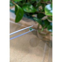 0.58 Ct. Yellowish Green Sapphire from Madagascar Life Style