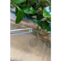 0.69 Ct. Yellowish Green Sapphire from Madagascar Life Style