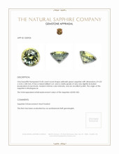 0.40 Ct. Yellowish Green Sapphire from Madagascar Appraisal