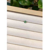 0.54 Ct. Bluish Green Sapphire from Madagascar Life Style