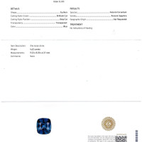 Jewelry Scan Report