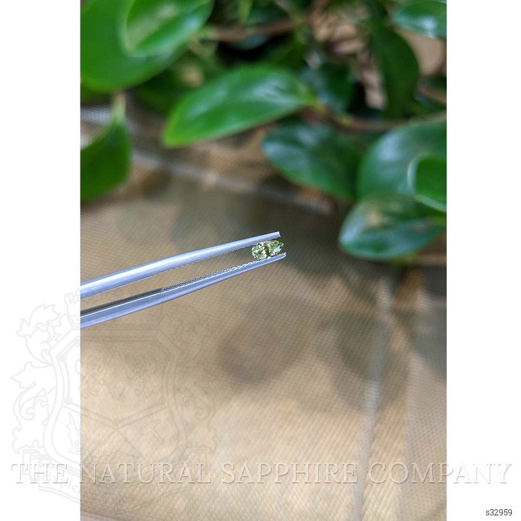 0.25 Ct. Yellowish Green Sapphire from Montana