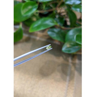 0.25 Ct. Yellowish Green Sapphire from Montana Life Style