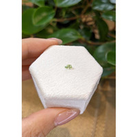 0.25 Ct. Yellowish Green Sapphire from Montana Life Style