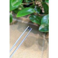 0.41 Ct. Bi Color Sapphire from Montana Life Style