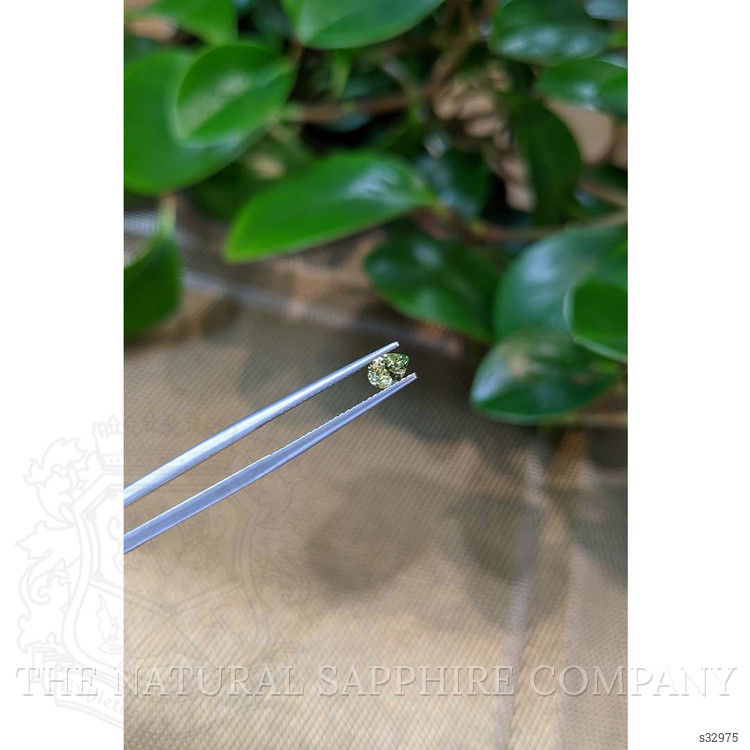 0.41 Ct. Yellowish Green Sapphire from Montana