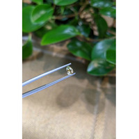 0.47 Ct. Greenish Yellow Sapphire from Montana Life Style
