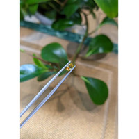 0.48 Ct. Bi Color Sapphire from Montana Life Style