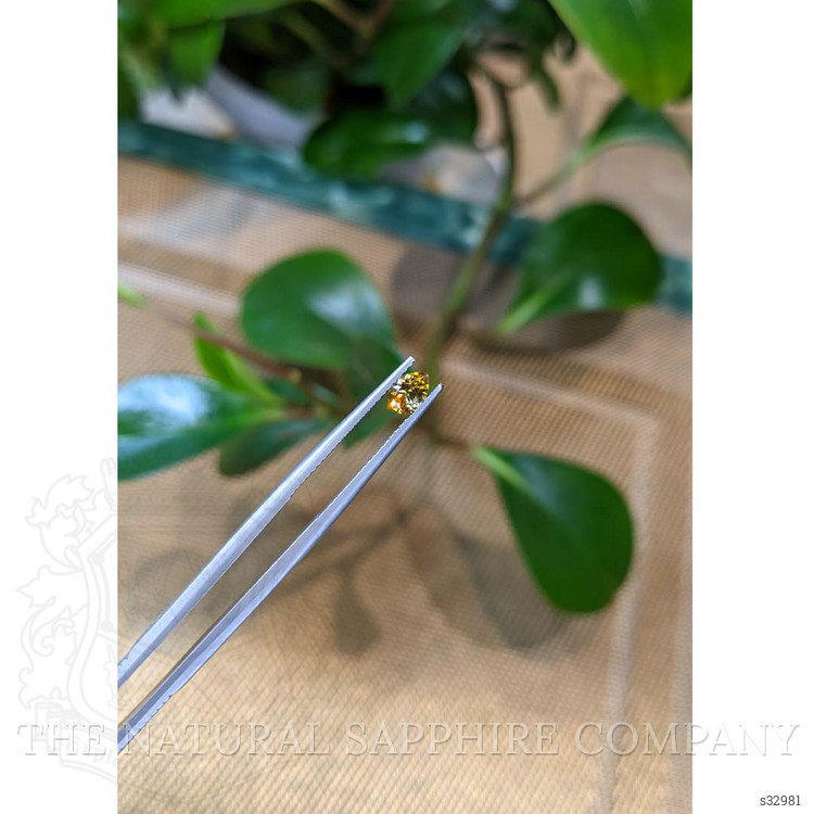 0.48 Ct. Bi Color Sapphire from Montana