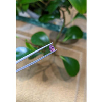 0.49 Ct. Pink Sapphire from Montana Life Style