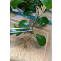 0.40 Ct. Bluish Grey Sapphire from Montana Life Style