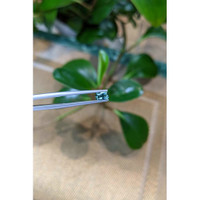 0.41 Ct. Bluish Green Sapphire from Montana Life Style