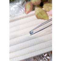 0.42 Ct. Greyish Blue Sapphire from Montana Life Style