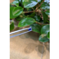 0.48 Ct. Blue Sapphire from Ceylon (Sri Lanka) Life Style