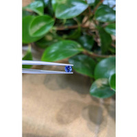 0.49 Ct. Blue Sapphire from Ceylon (Sri Lanka) Life Style