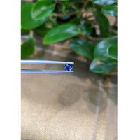 0.60 Ct. Blue Sapphire from Ceylon (Sri Lanka) Life Style