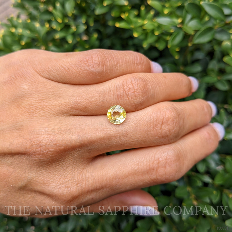 2.01 Ct. Yellow Sapphire from Ceylon (Sri Lanka)