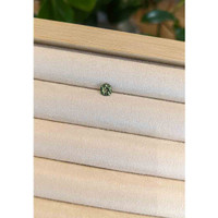 0.64 Ct. Yellowish Green Sapphire from Madagascar Life Style