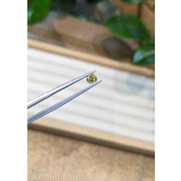 0.41 Ct. Greenish Yellow Sapphire from Madagascar Life Style