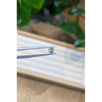 0.41 Ct. Bi Color Sapphire from Madagascar Life Style