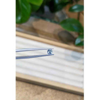 0.37 Ct. Blue Sapphire from Madagascar Life Style