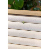 0.67 Ct. Yellowish Green Sapphire from Madagascar Life Style