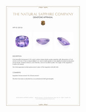 2.95 Ct. Bluish Purple Sapphire from Ceylon (Sri Lanka) Appraisal
