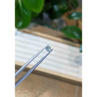 0.49 Ct. Grey Sapphire from Madagascar Life Style