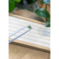 0.62 Ct. Green Sapphire from Madagascar Life Style