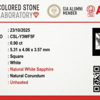 Jewelry Scan Report