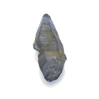 13.19 Ct. Blue Rough Sapphire from Ceylon (Sri Lanka) Video