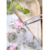 0.66 Ct. Bluish Green Sapphire from Madagascar Life Style