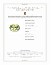 0.60 Ct. Yellowish Green Sapphire from Madagascar Scan Report