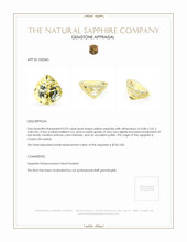 0.92 Ct. Yellow Sapphire from Ceylon (Sri Lanka) Appraisal