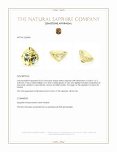 0.92 Ct. Yellow Sapphire from Ceylon (Sri Lanka) Appraisal