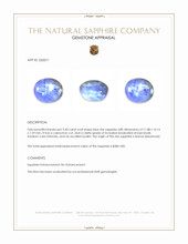9.60 Ct. Blue Star Sapphire from Burma (Myanmar) Appraisal