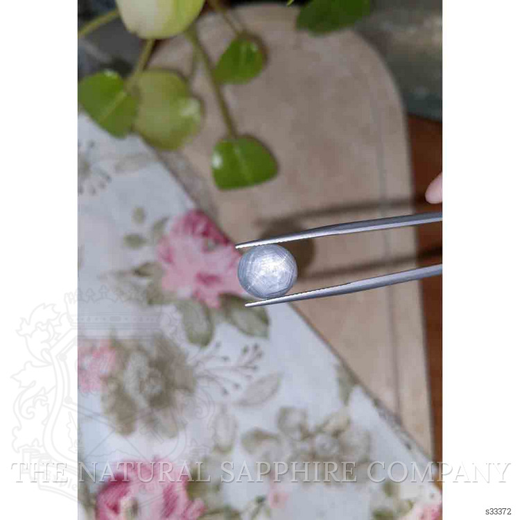 9.27 Ct. Grey Star Sapphire from Burma (Myanmar)