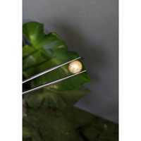 11.54 Ct. Bi Color Star Sapphire from Burma (Myanmar) Life Style