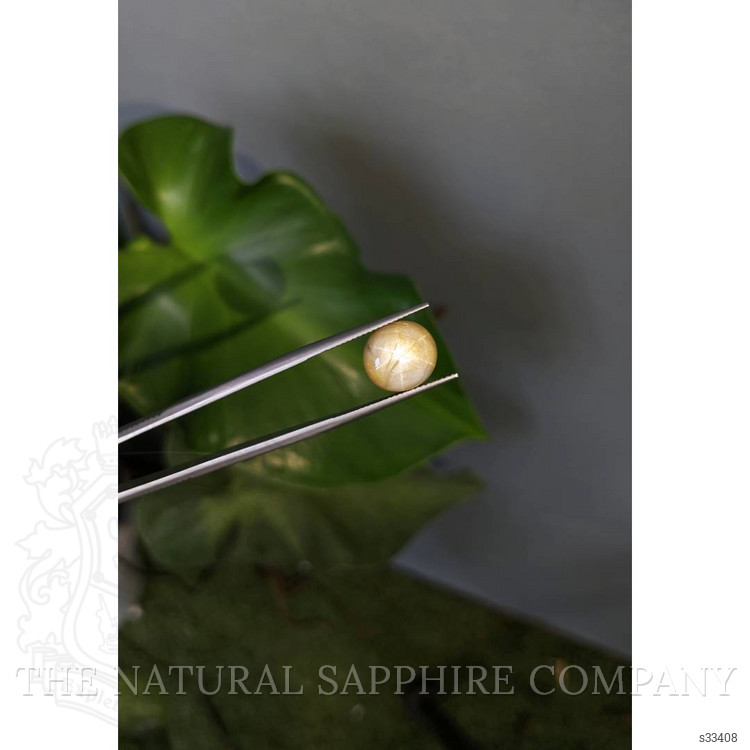 11.54 Ct. Bi Color Star Sapphire from Burma (Myanmar)