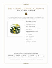 Jewelry Scan Report