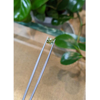 1.54 Ct. Yellowish Green Sapphire from Montana Life Style