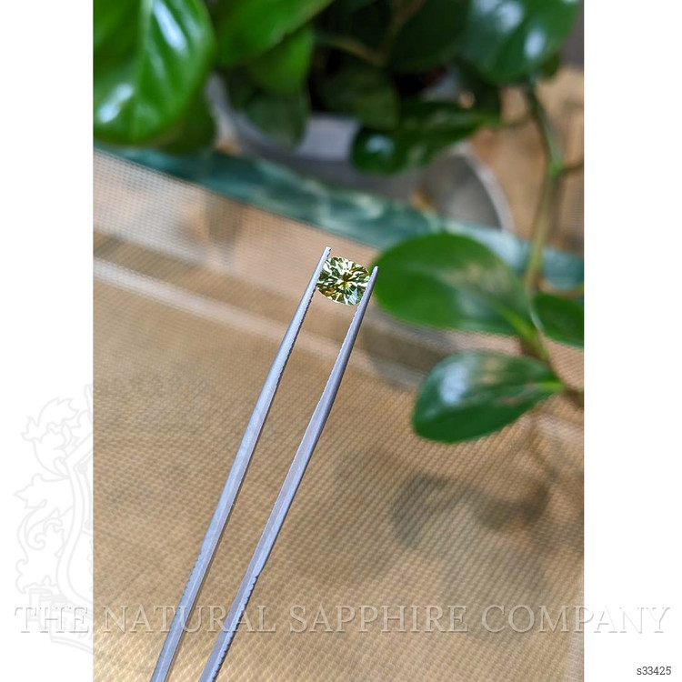 1.54 Ct. Yellowish Green Sapphire from Montana