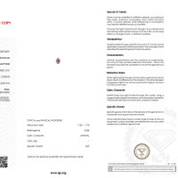 1.23 Ct. Pink Sapphire from Ceylon (Sri Lanka) Scan Report