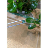 1.80 Ct. Bluish Green Sapphire from Montana Life Style