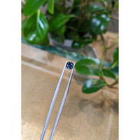 0.81 Ct. Greenish Blue Sapphire from Montana Life Style